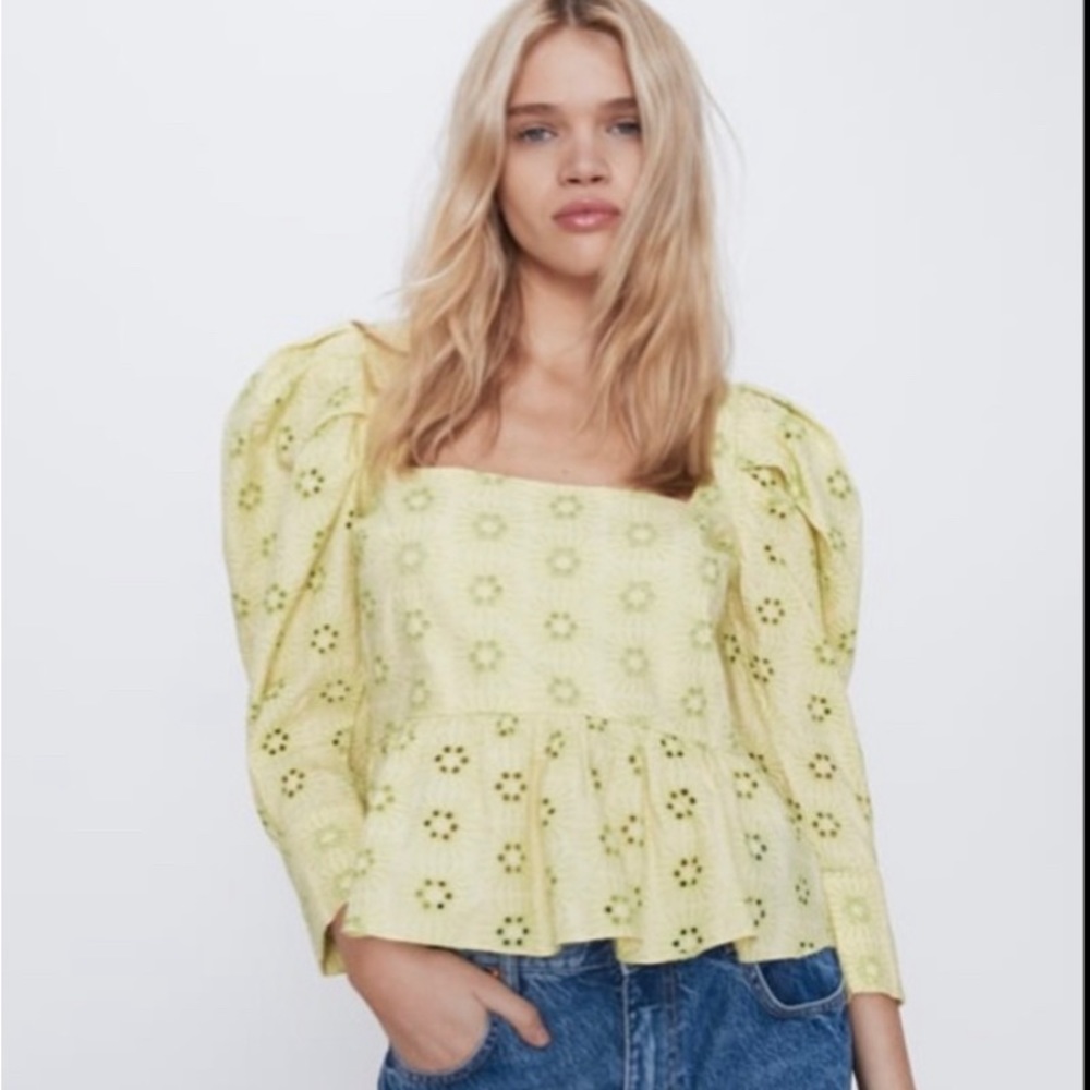 Zara embroidered eyelet top